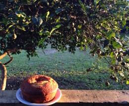 Bolo de Laranja - Dadivosa